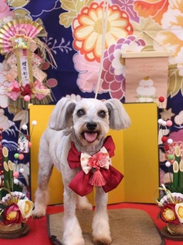 20240106ここちゃん